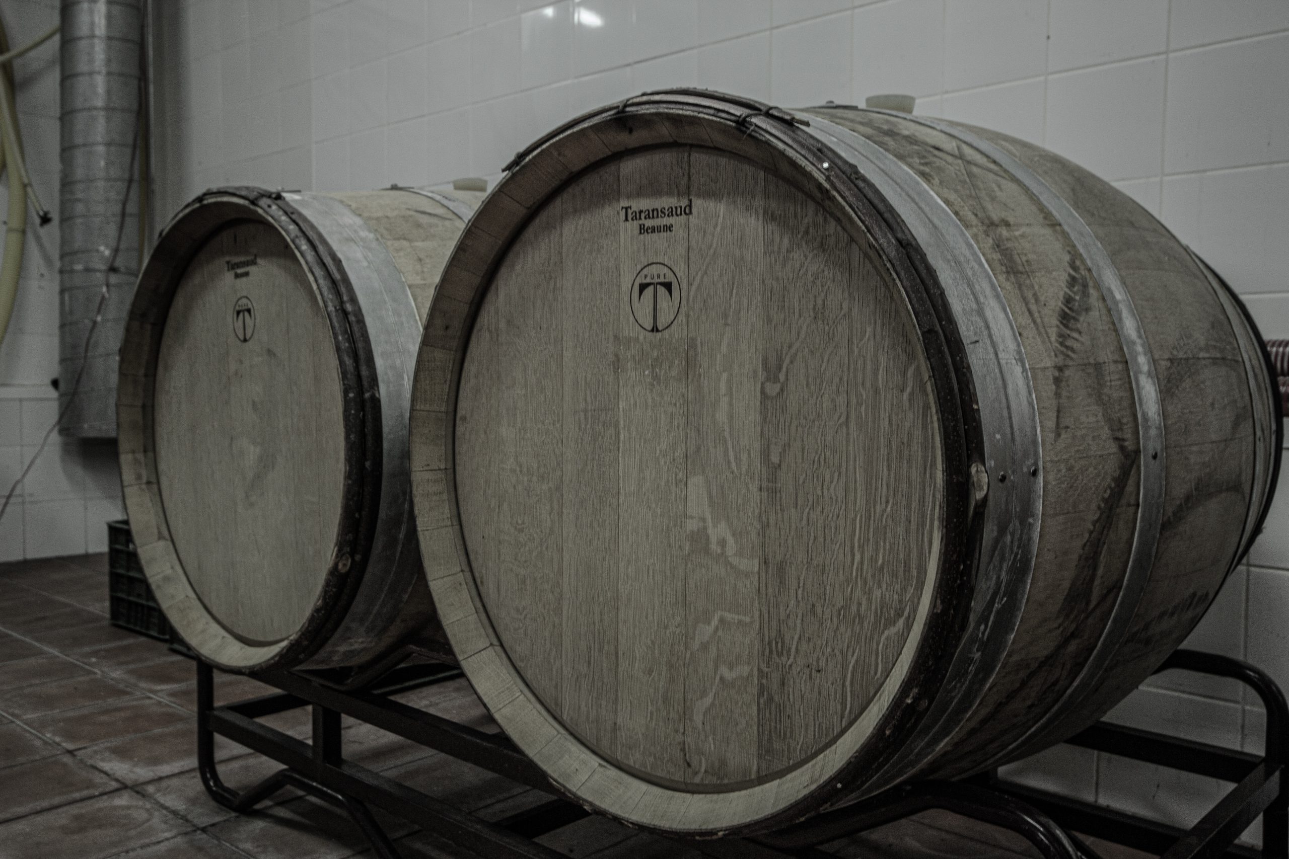 Historia de nuestra bodega