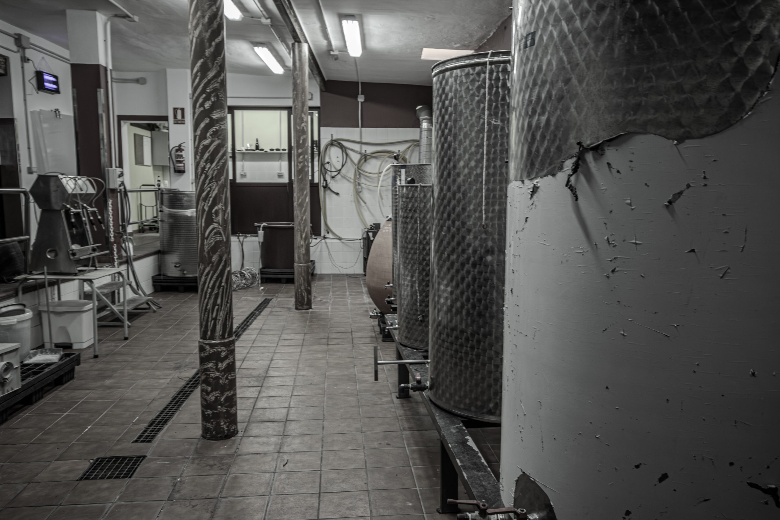 Endemic Bodegas - bodegas tenerife